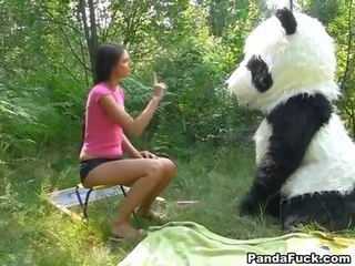 X névleges videó -ban a woods -val egy hatalmas játék panda